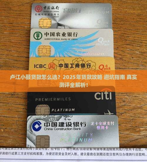 卢江小额贷款