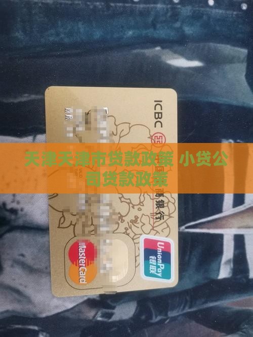 天津小贷公司贷款政策