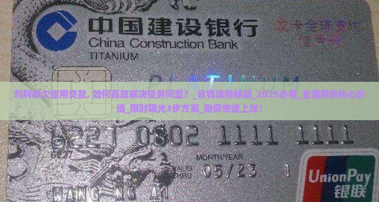 刘利敏欠信用贷款