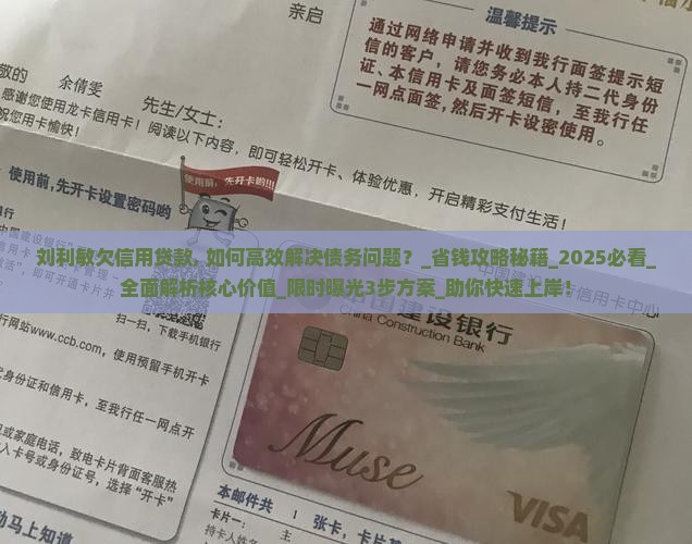 刘利敏欠信用贷款