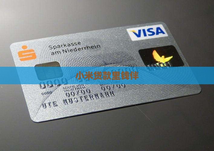 小米贷款里钱伴
