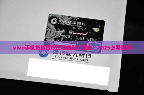 vivo手机贷款授权还能查到吗