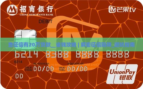 查征信有20万贷款
