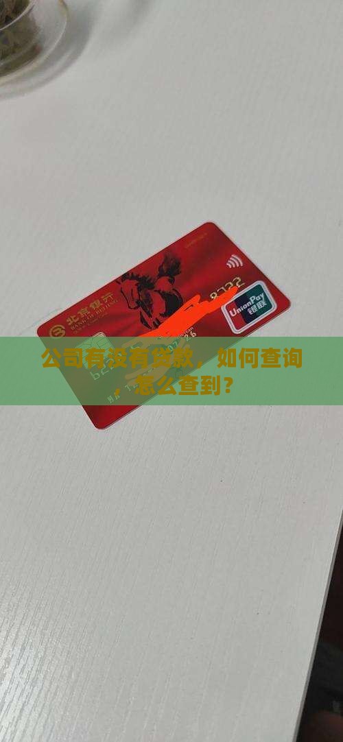 公司贷款在哪可以查到