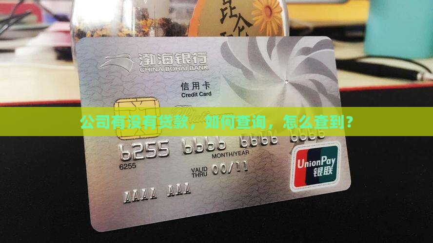 公司贷款在哪可以查到