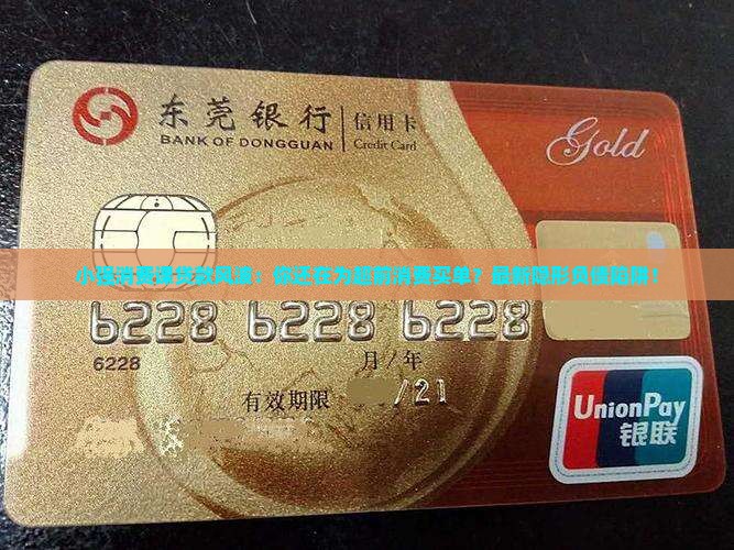 小强消费课贷款风波