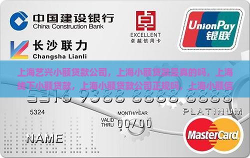 上海艺兴小额贷款