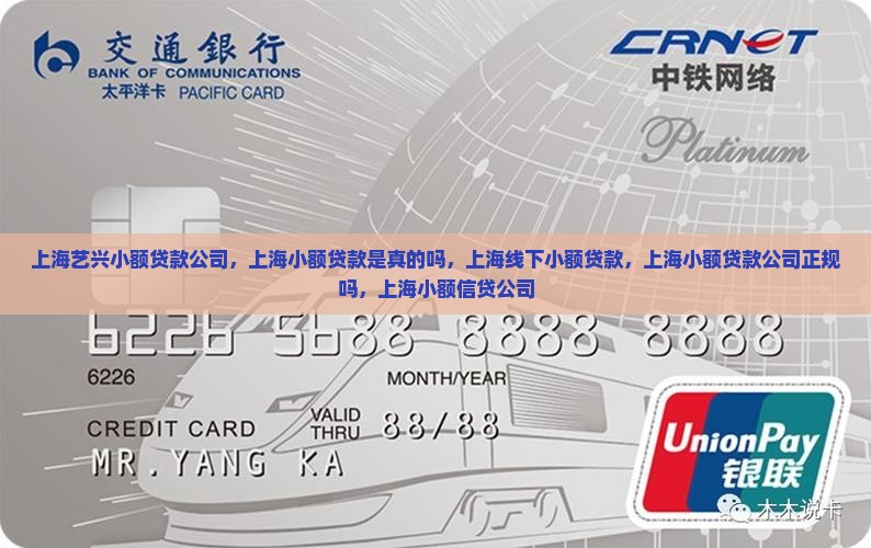 上海艺兴小额贷款