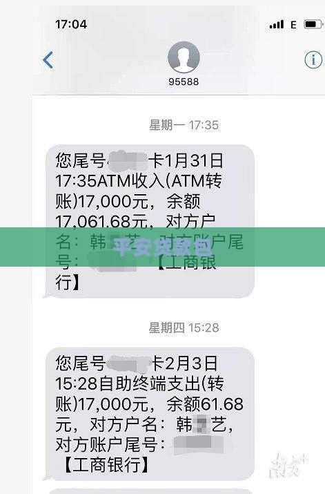 平安普惠贷款包下