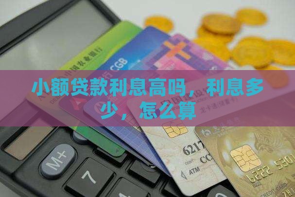 你我贷小额贷款利息