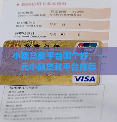 一元小额贷款平台哪个好