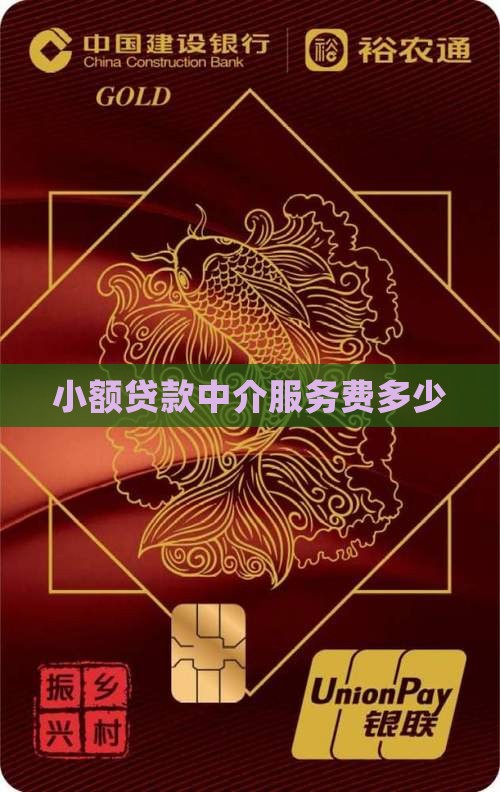 小额贷款有服务费吗