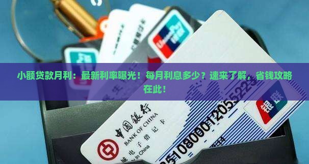 小额贷款月利