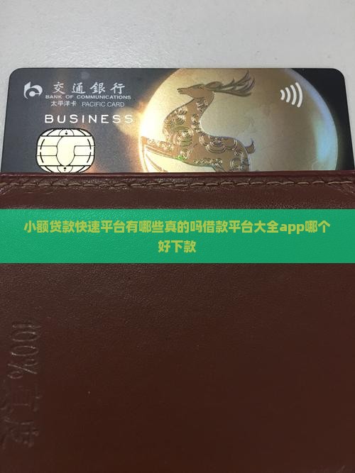 小额贷款快速平台
