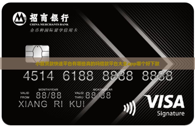 小额贷款快速平台