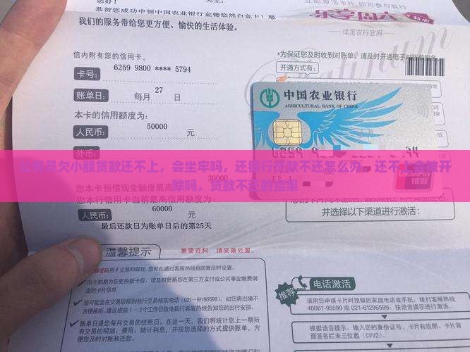 公务员欠小额贷款还不上