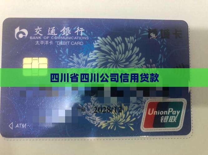 四川省公司信用贷款