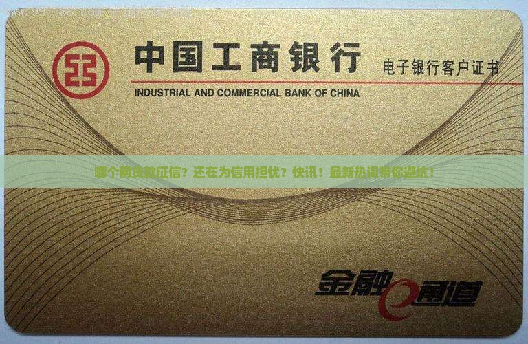 哪个网贷款征信