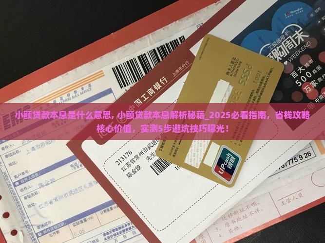 小额贷款本息是什么意思
