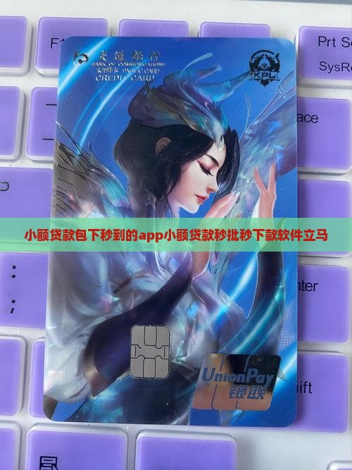 小额贷款包下秒到的