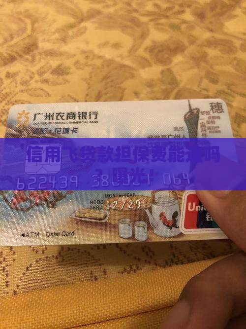 信用飞贷款担保费能退吗