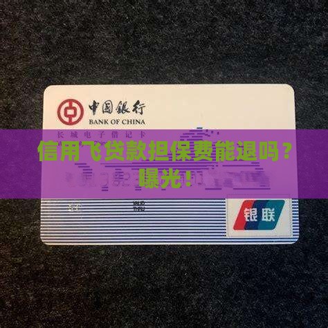 信用飞贷款担保费能退吗