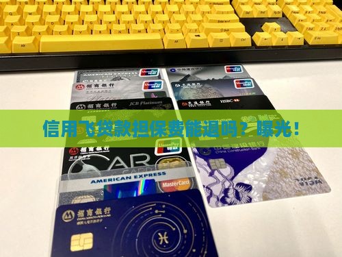 信用飞贷款担保费能退吗