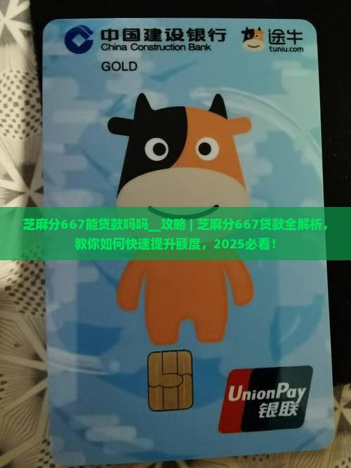 芝麻分667能贷款吗吗