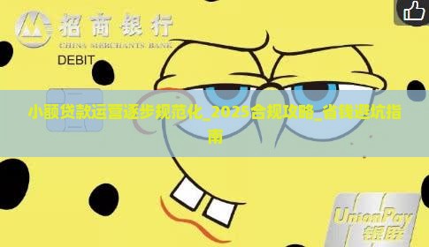 小额贷款运营逐步规范化