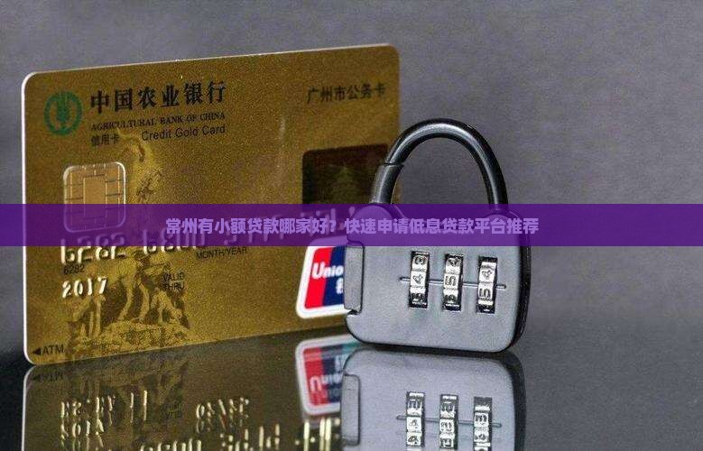 常州有小额贷款哪家好