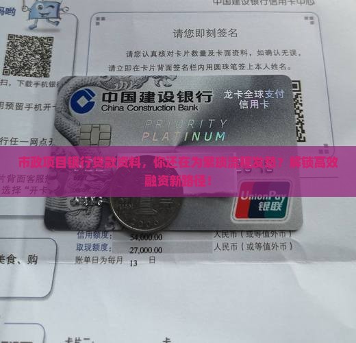 市政项目银行贷款资料