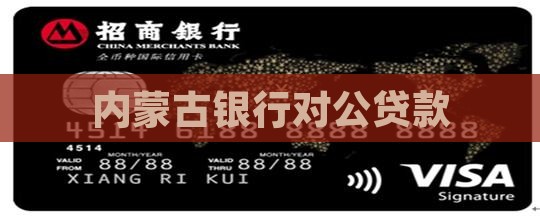 内蒙古银行对公贷款