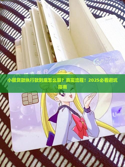 小额贷款执行款情况说明