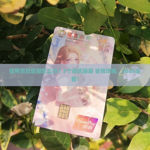 信用贷款不允许逾期