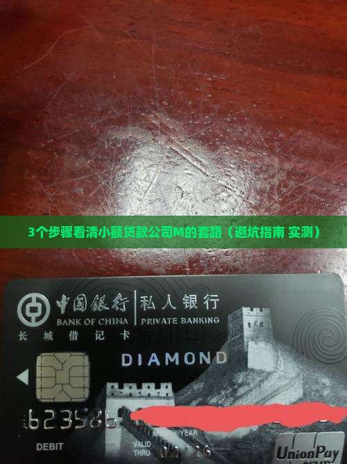 小额贷款款司M