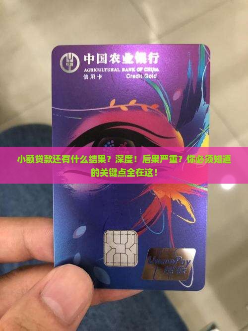 小额贷款还有什么结果