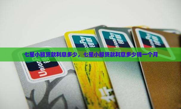 七星小额贷款利息多少