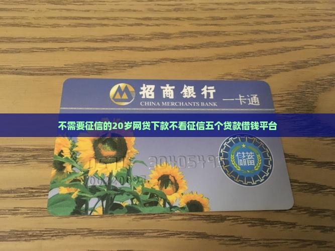 不需要征信的20岁贷款 不需要征信的20岁贷款
