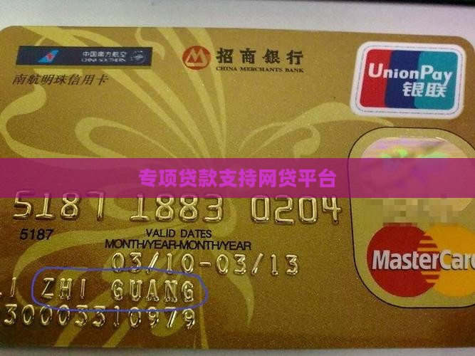 专项贷款支持网贷平台