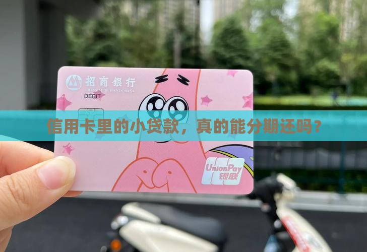 信用卡里的小贷款，真的能分期还吗？
