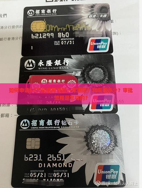 如何申请50万元信用贷款一年期限？利率是多少？审批流程是怎样的？