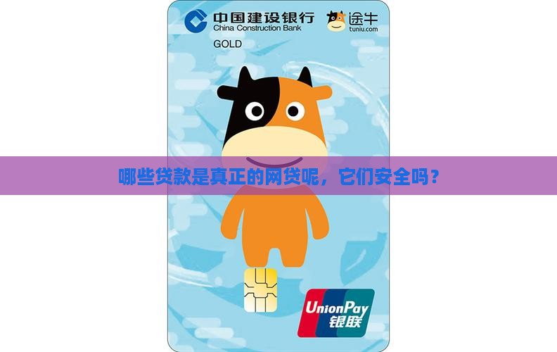 哪些贷款是真正的网贷呢，它们安全吗？