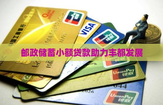 邮政储蓄小额贷款助力丰都发展