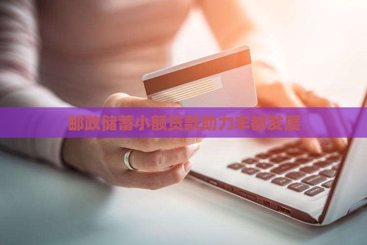 邮政储蓄小额贷款助力丰都发展