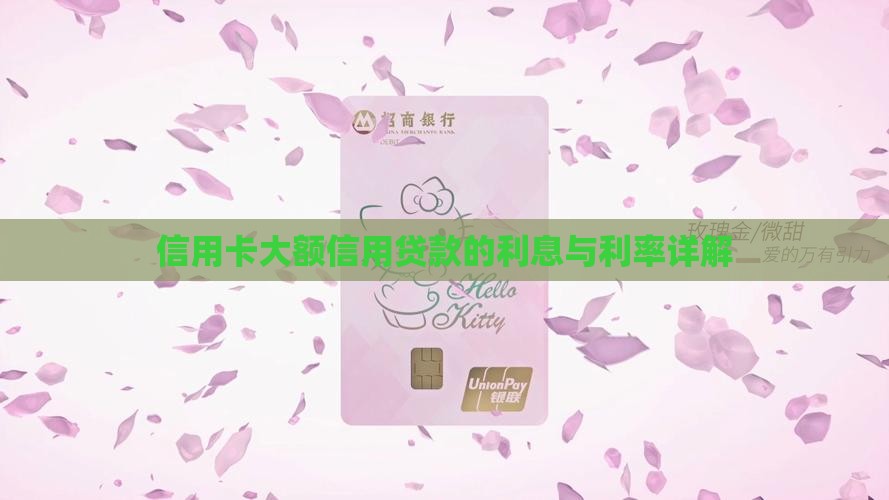 信用卡大额信用贷款的利息与利率详解