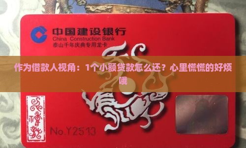 作为借款人视角：1个小额贷款怎么还？心里慌慌的好烦哦