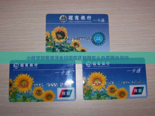 小额贷款要激活金吗现在还能用怎么办需要会员吗