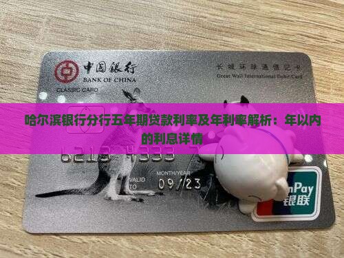 哈尔滨银行分行五年期贷款利率及年利率解析：年以内的利息详情