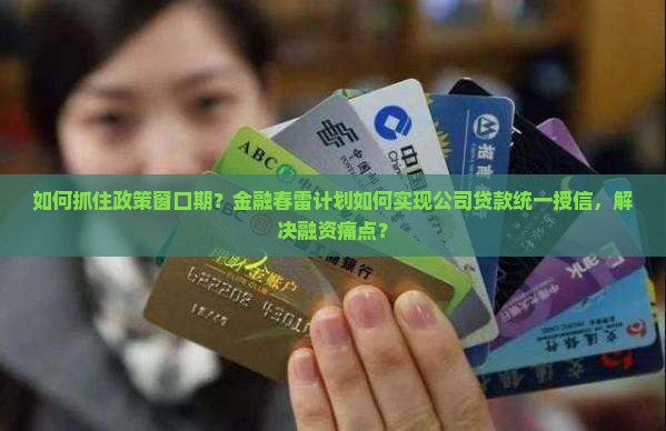 如何抓住政策窗口期？金融春雷计划如何实现公司贷款统一授信，解决融资痛点？
