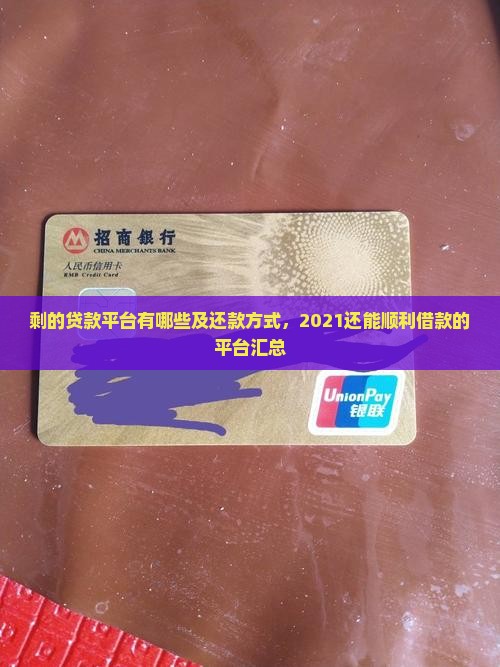 剩的贷款平台有哪些及还款方式，2021还能顺利借款的平台汇总